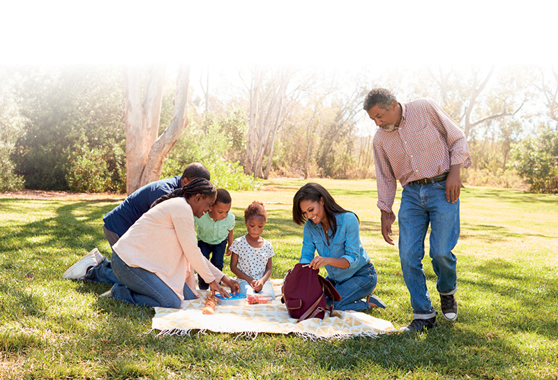 famile picnic