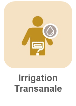 irrigation-transanale image Image