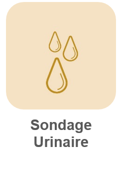 sondage_urinaire image Image