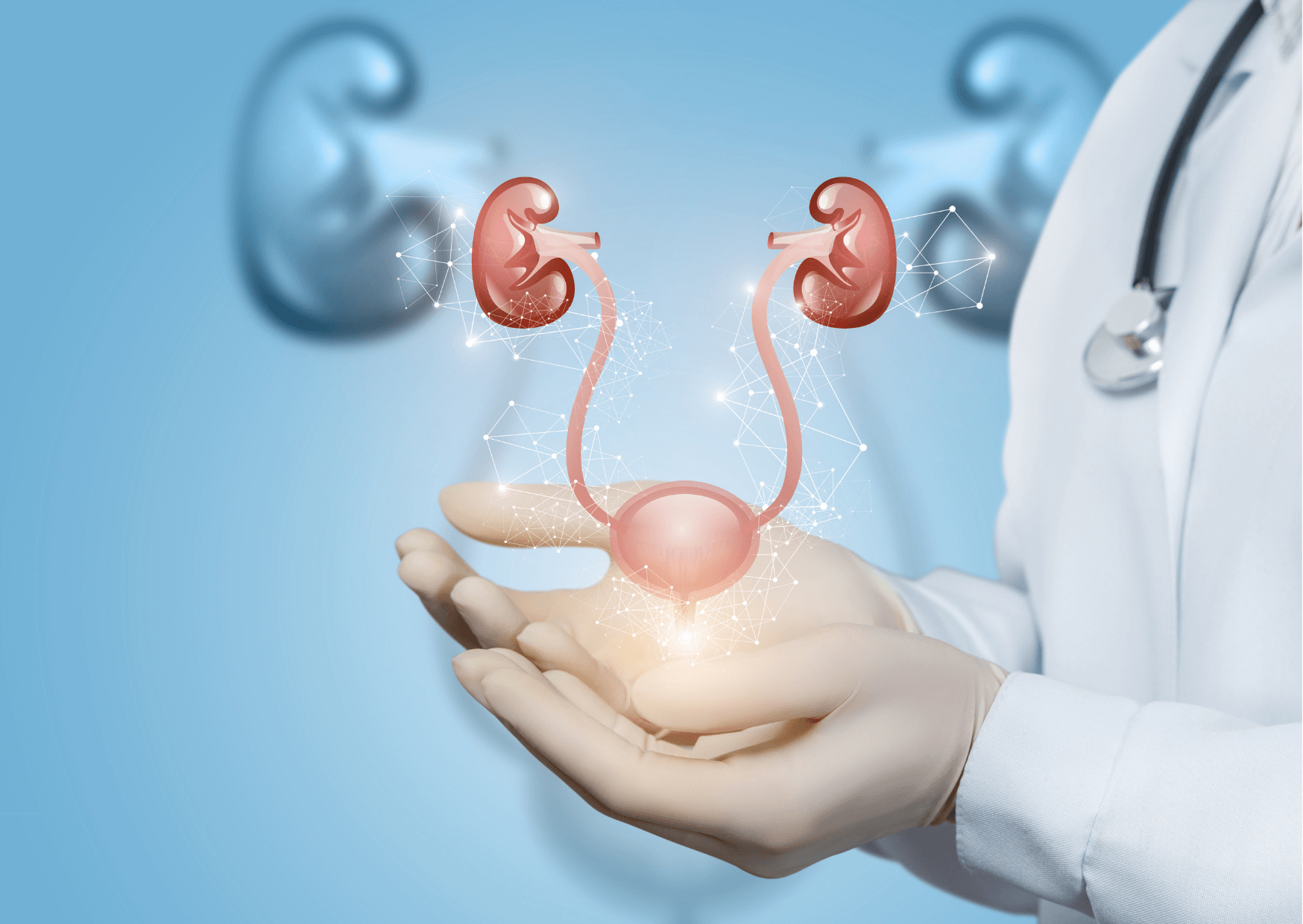 enterocystoplastie_agrandissement image enterocystoplastie_agrandissement Spécialiste stomie - Matériel incontinence urinaire, matériels stomie | FSK