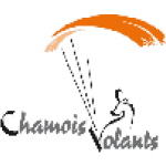 Handi Chamois logo