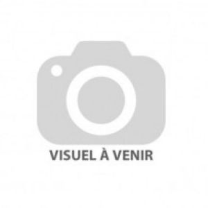 pasdevisuel_370x370 image Bâtonnet Cavilon NSBF Accessoire