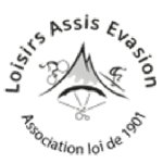 Logo handiskiclub