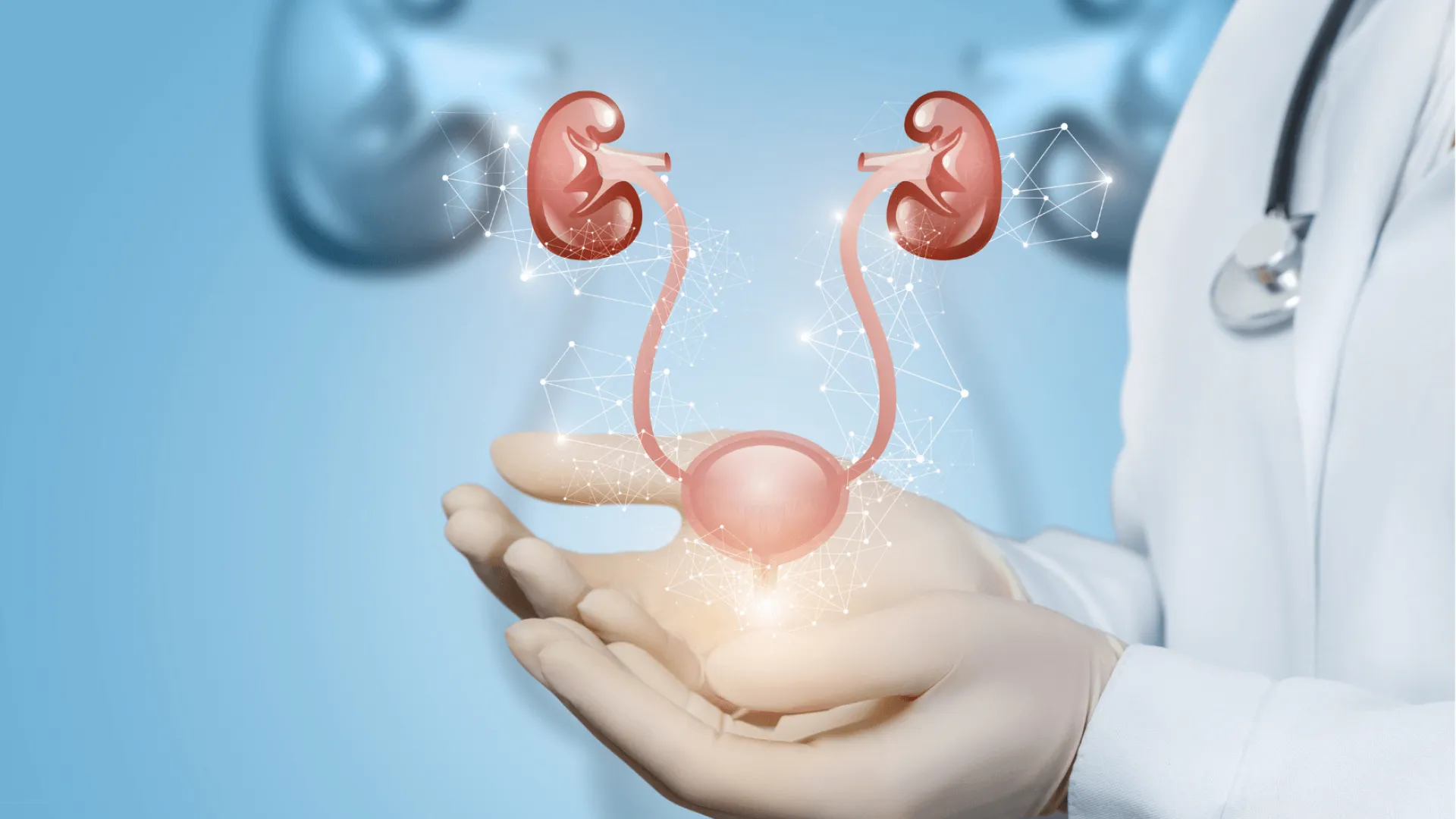 enterocystoplastie_agrandissement Nos articles