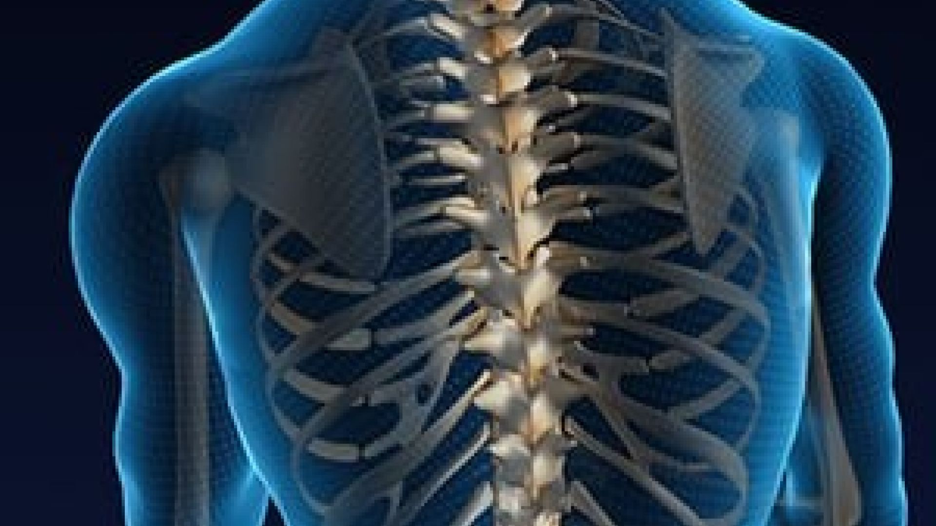 Moelle_%C3%A9pini%C3%A8re_et_colonne_vert%C3%A9brale_connaissez-vous_la_diff%C3%A9rence-184cba44 Voyager avec une l&eacute;sion m&eacute;dullaire : d&eacute;fis, conseils et astuces