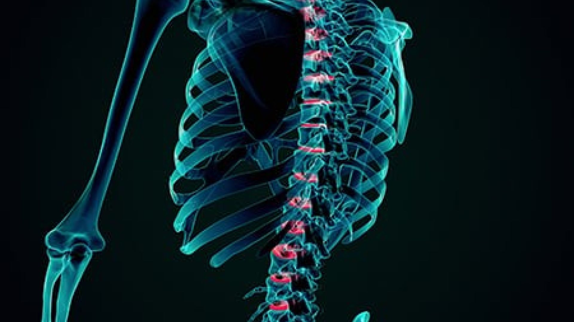 Une_colonne_vert%C3%A9brale_trois_r%C3%A9gions_connaissez-vous_les_diff%C3%A9rences_en_ce_qui_concerne_les_l%C3%A9sions_m%C3%A9dullaires-876c9914 D&eacute;couvrez ces sports nautiques adapt&eacute;s et populaires